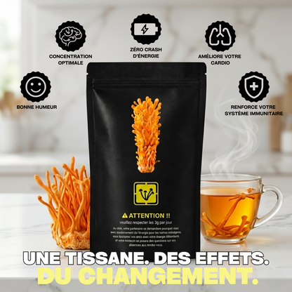 CORDYCEPS MILITARIS SECHE 100%
