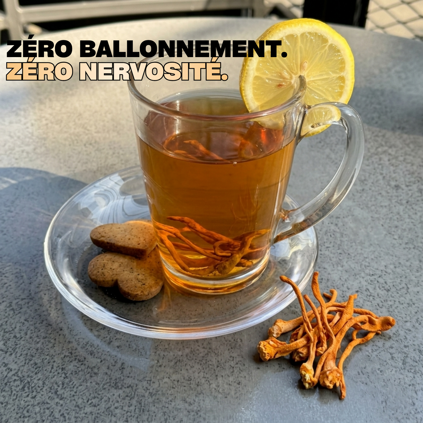 CORDYCEPS MILITARIS SECHE 100%