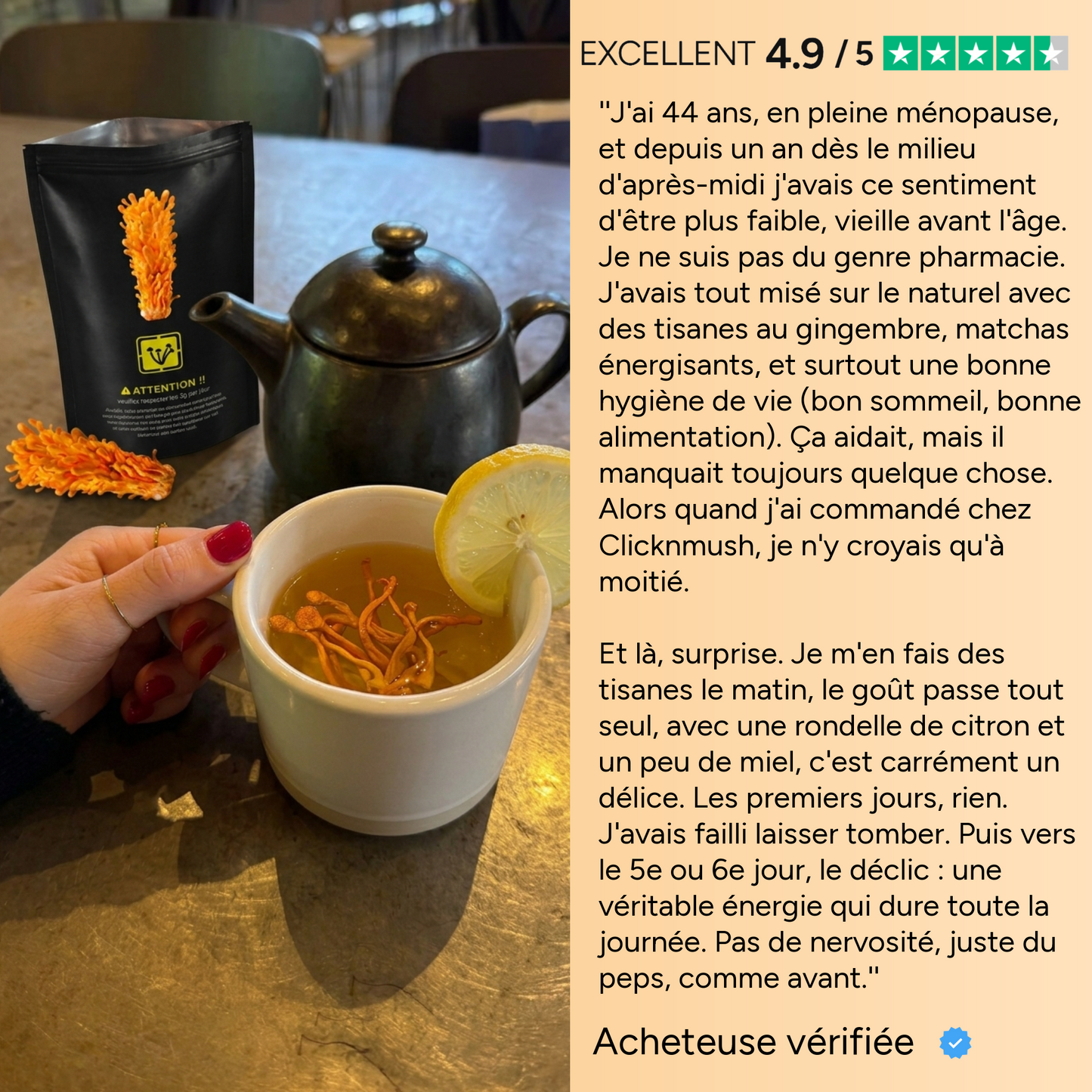 CORDYCEPS MILITARIS SECHE 100%