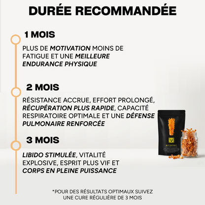 CORDYCEPS MILITARIS SECHE 100%