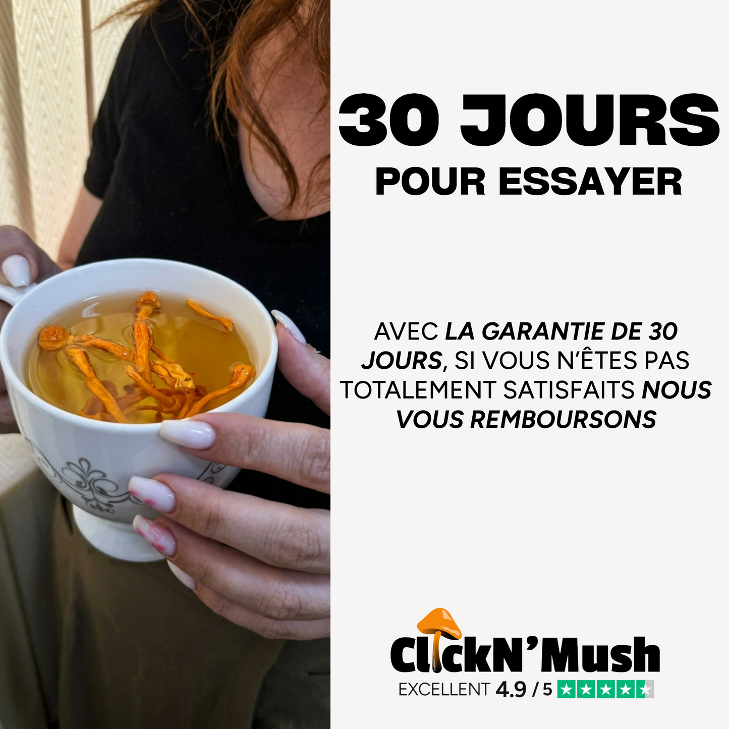 CORDYCEPS MILITARIS SECHE 100%