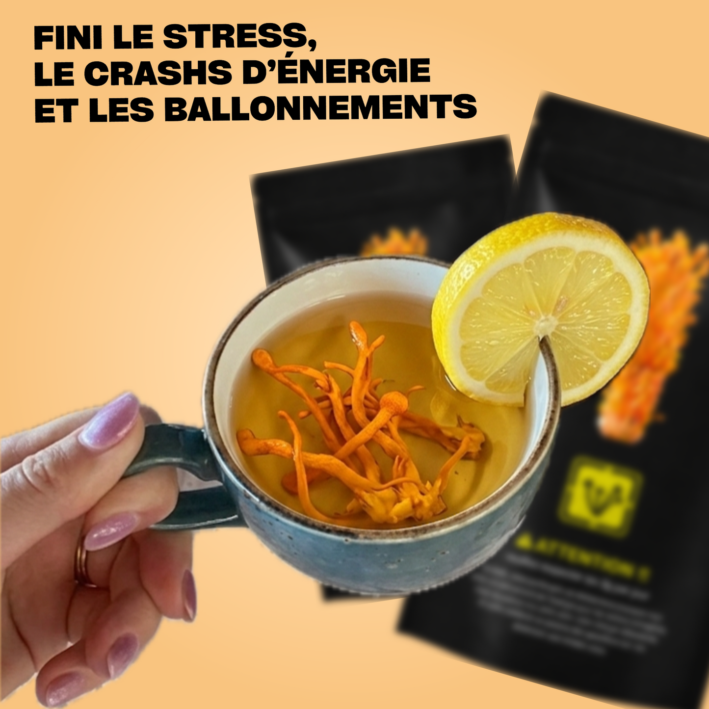 CORDYCEPS MILITARIS SECHE 100%