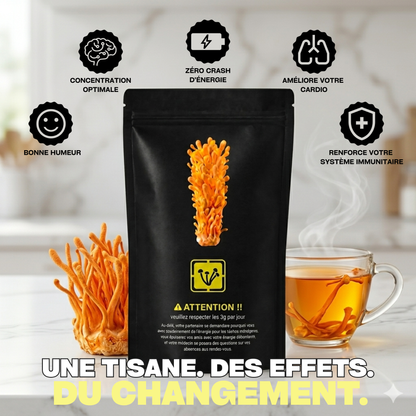 Cordyceps militaris séchés – énergie naturelle pour femmes ménopausées fatiguées